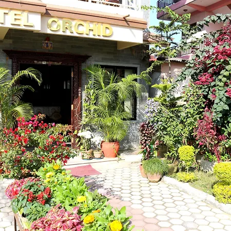 Hotel Orchid-3