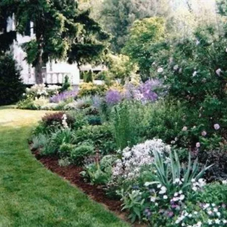 Albemarle Inn - Asheville-3
