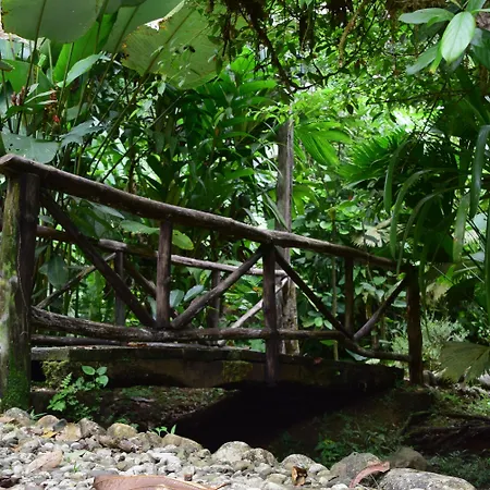 Esquinas Rainforest Lodge-3