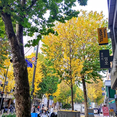 Hostel Tommy Jongno ---- Tax Return Authorized Shop-3