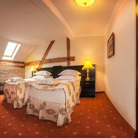 Hotel Central Park Sighisoara-3
