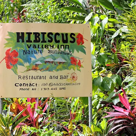 Hibiscus Valley Inn-3