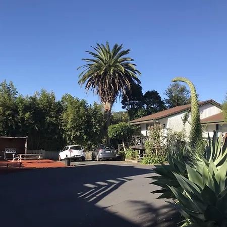 Siesta Motel-2