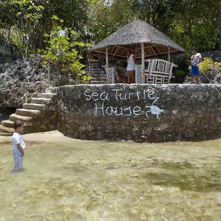 Sea Turtle House Moalboal-3