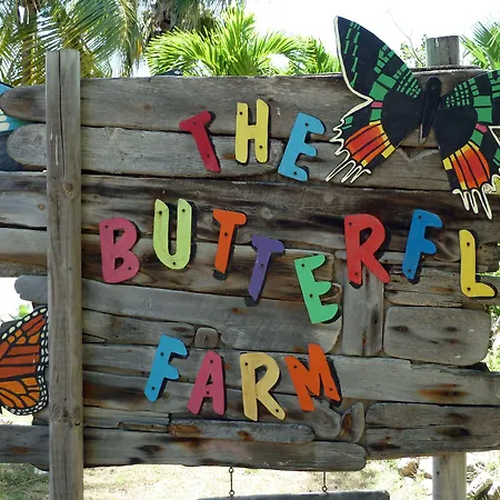 Bubali Bliss Studios & Villas-3
