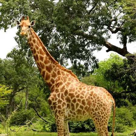 Fathala Wildlife Reserve-3