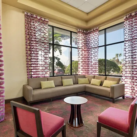 Orlando Palms-3