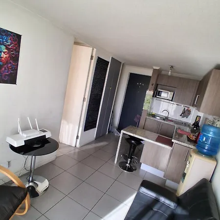 Departamento Parque O'Higgins-2
