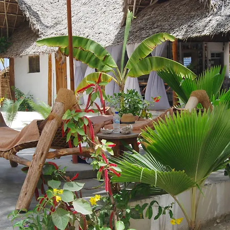 Sahari Zanzibar-3