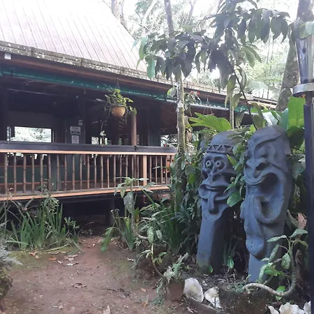 Rainforest Eco Lodge-3
