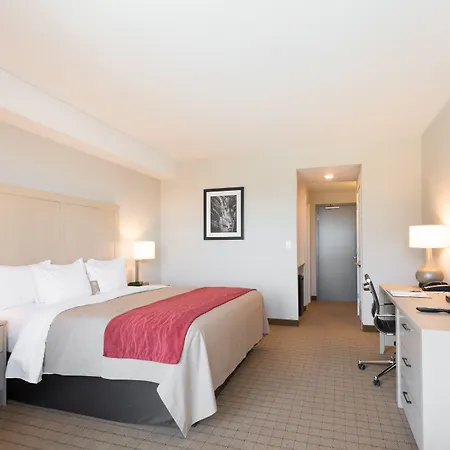 Comfort Inn & Suites-3