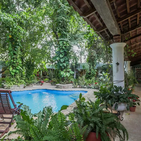Hotel Boutique Casa Quetzal-2