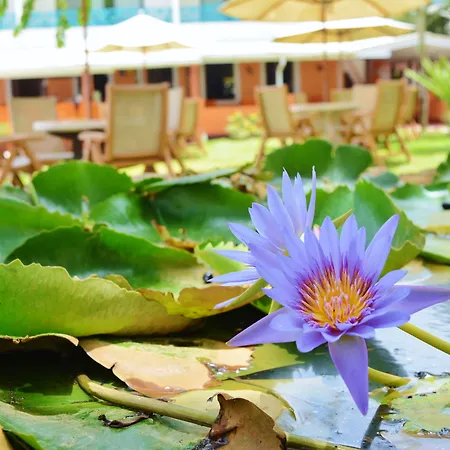Mariners Hotel-3