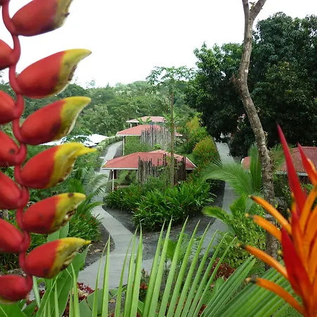 Hotel Cerro Lodge-2