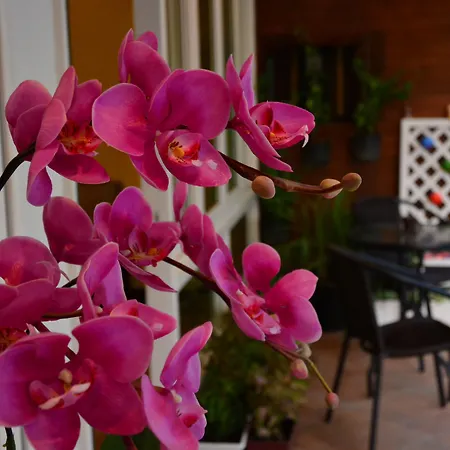 Seedling House-2