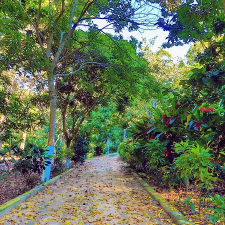 Villa Maria Tayrona, Jungle And Sea Experience-2