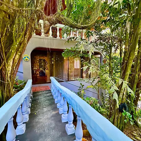 Jungle Beach Hotel Manuel Antonio-2