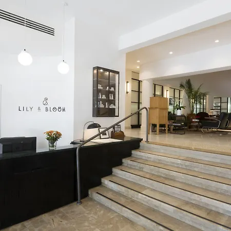 Lily & Bloom Boutique Hotel-2