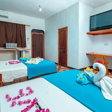 Hotel Coloma Galapagos-3