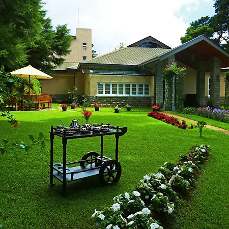 The Firs-2