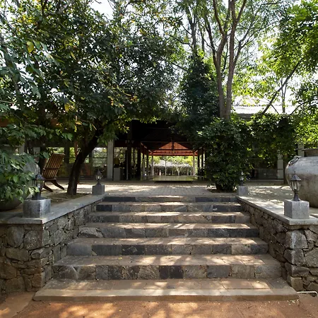Amaara Forest Hotel Sigiriya-3