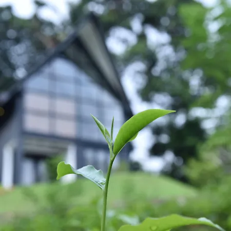 The Country House Chalets-3