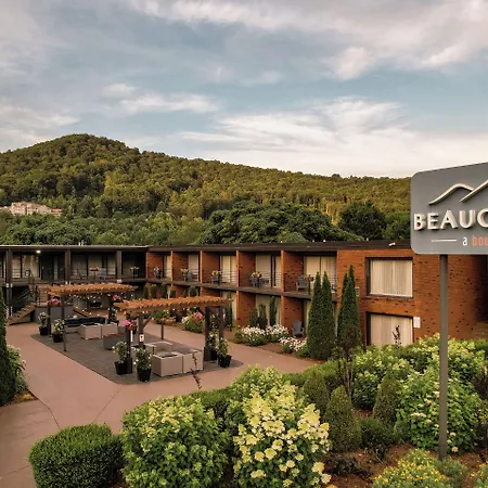 The Beaucatcher, A Boutique Motel-3
