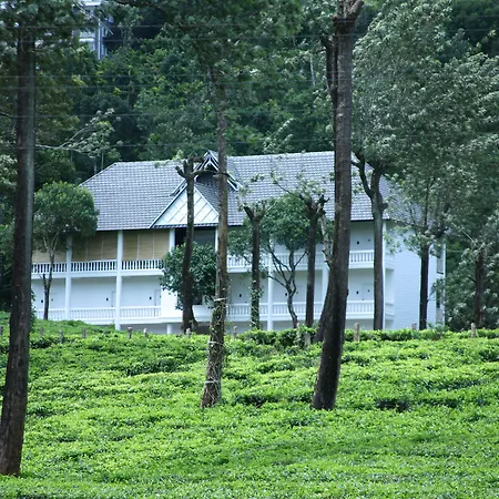 Tea Harvester-2