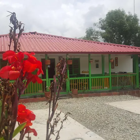 Hostal Y Camping Los Girasoles-3