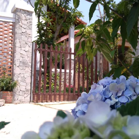 Miana Resort Phu Quoc-3