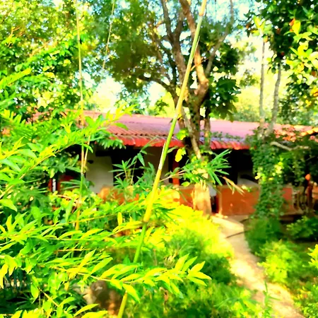 Sisira Natural Lodge - Sigiriya-2