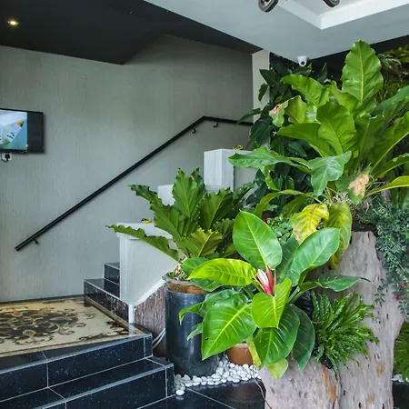 Midori Concept Hotel-3