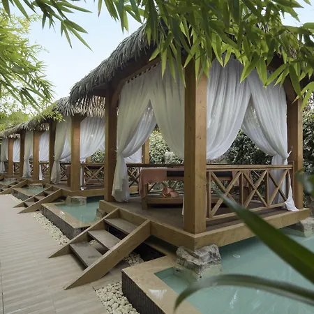Trendy Verbena Beach-3