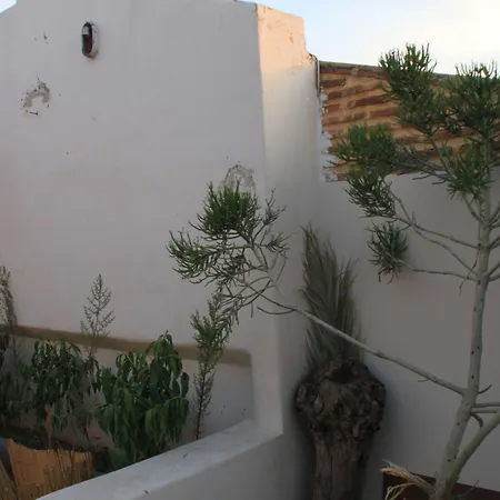 Riad El Walida-2
