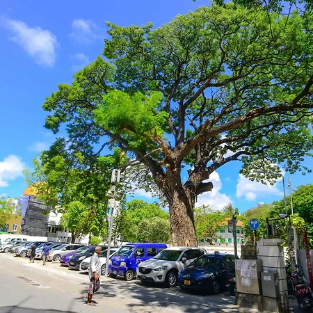 Noomoo Hulhumale-3