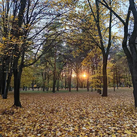 3- Х Комнатная Квартира В Центре-3