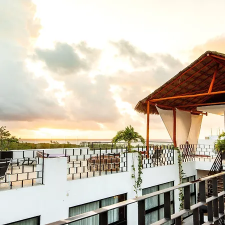 Sunday Hotel 52 At Playa Del Carmen-3