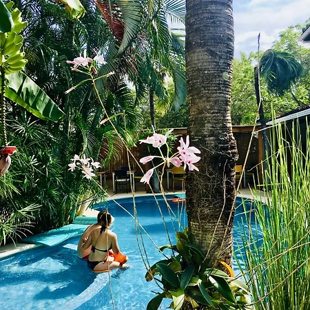Ten North Tamarindo Beach Hotel-2