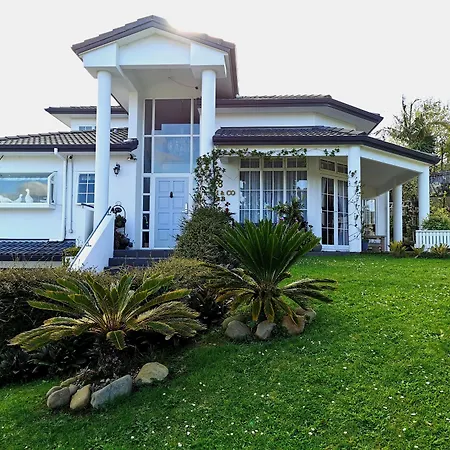 Lush & Co Auckland Bed & Breakfast-3