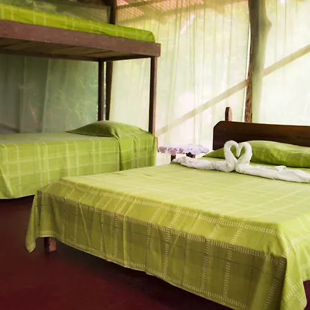 Isla Violin Eco-Lodge-3