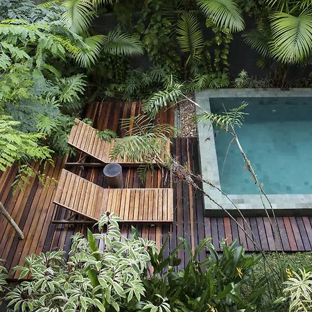 Hotel Villa Amazonia-2