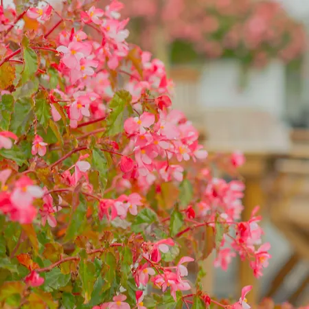Comercial Boutique Guest House-3