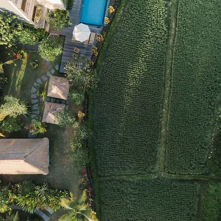 Byasa Ubud-2
