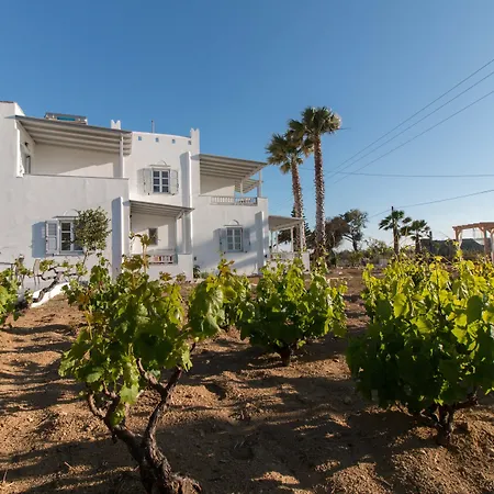 Ktima Bianco-2