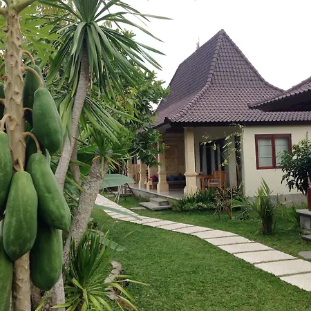 Masia Villa Ubud-3