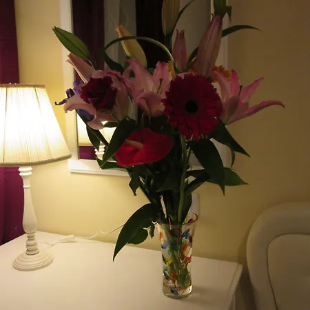 Trevi Elegance Suite-3