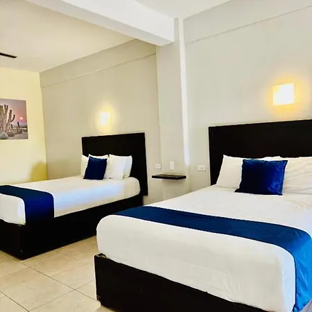 Capital O Hotel Jazuli, San Jose Del Cabo-3