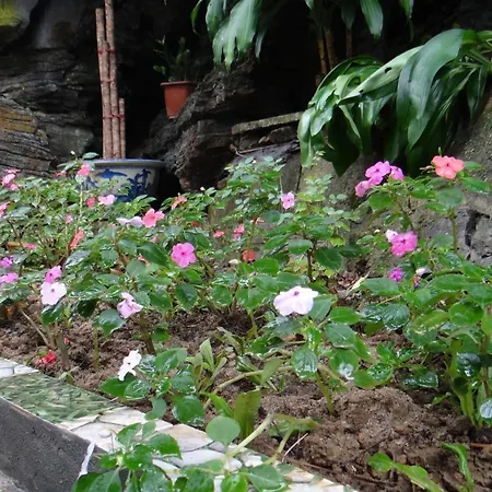 Huong Thao 2 Hotel-3
