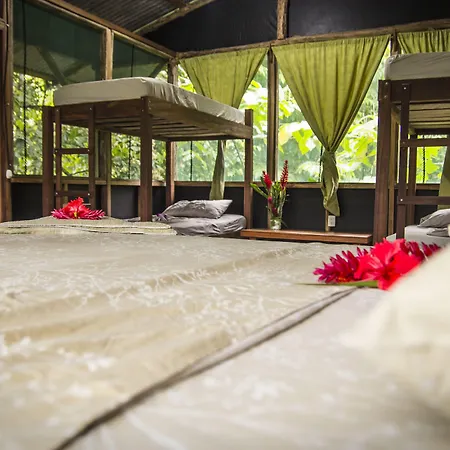 Naguala Jungle Lodge-2