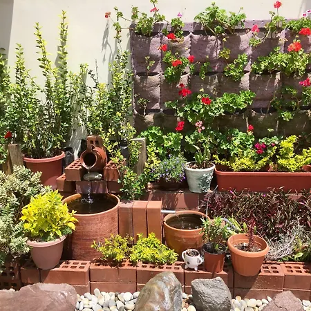 Quito Terrace-3